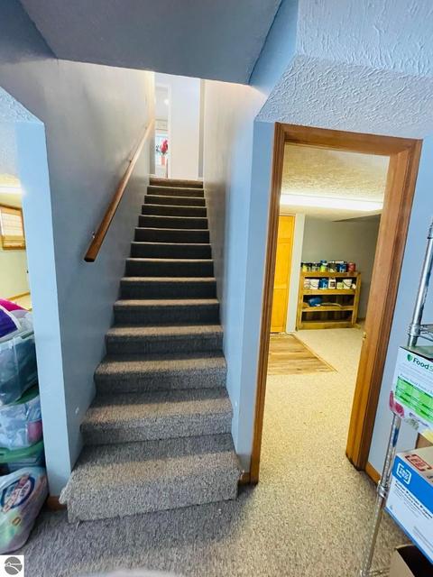 9931 E 22 Rd, Manton, MI 49663 photo 11