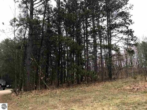 9931 E 22 Rd, Manton, MI 49663 photo 8