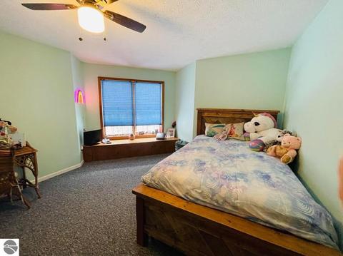 9931 E 22 Rd, Manton, MI 49663 photo 39