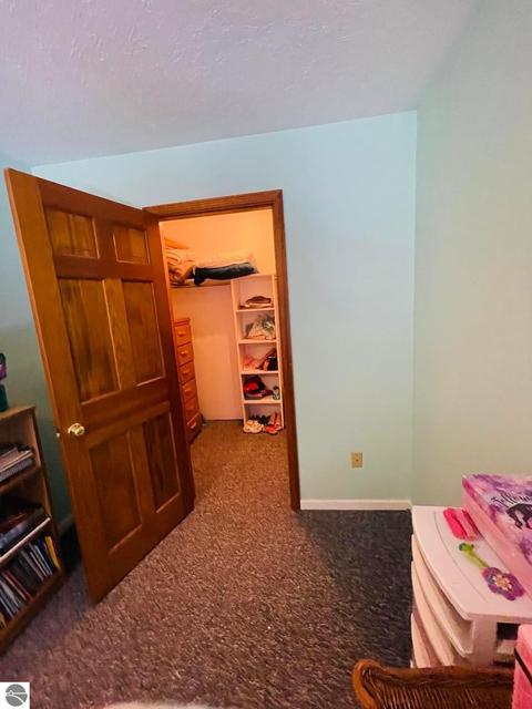9931 E 22 Rd, Manton, MI 49663 photo 31