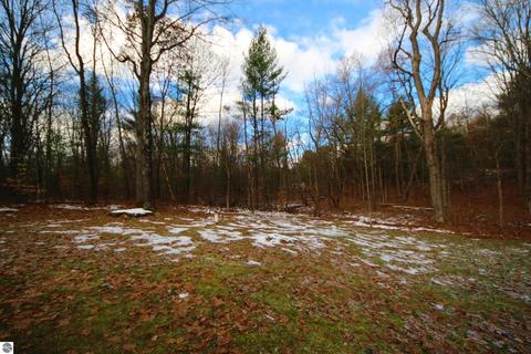 17912 Cinder Rd, Interlochen, MI 49643 photo 4