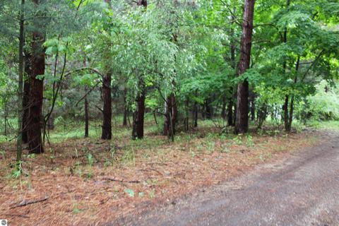 On Maple View Drive, Central Lake, MI 49622