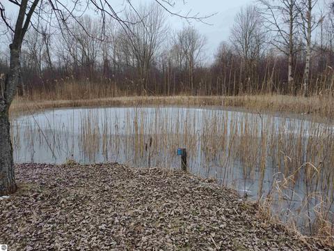 1548 Swenson Rd, Au Gres, MI 48703 photo 10