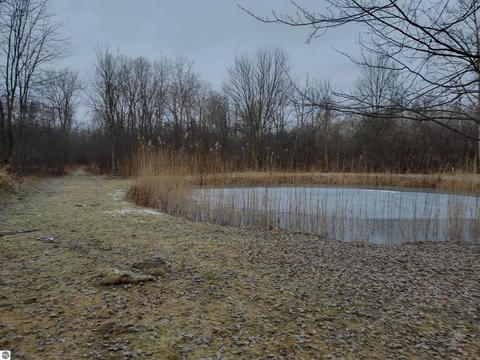 1548 Swenson Rd, Au Gres, MI 48703 photo 14