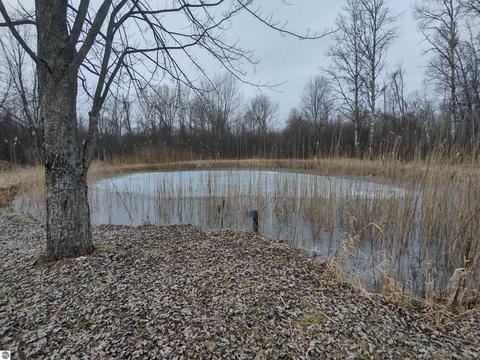 1548 Swenson Rd, Au Gres, MI 48703 photo 11