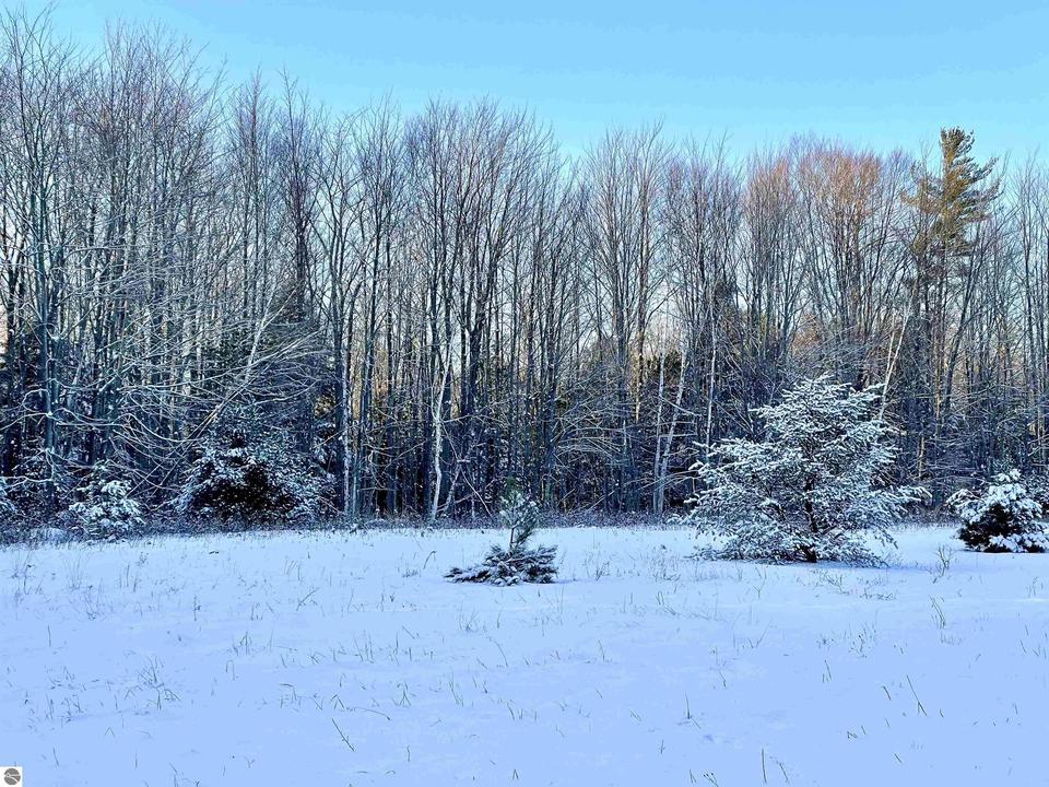 6815 M37, Kingsley, MI 49649 13 Photos MLS 1895774 Movoto