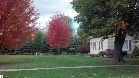 511 N Ithaca St, Ithaca, MI 48847 photo 3