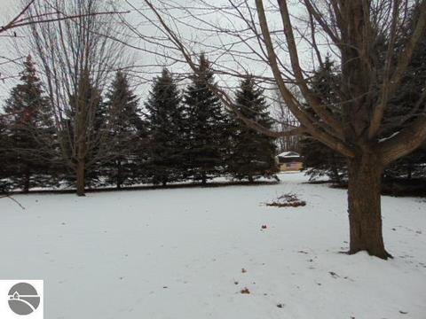 511 N Ithaca St, Ithaca, MI 48847 photo 45