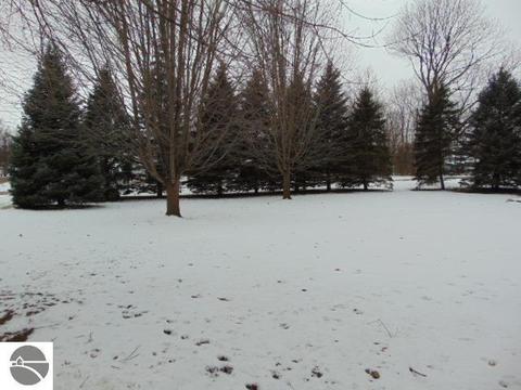 511 N Ithaca St, Ithaca, MI 48847 photo 5
