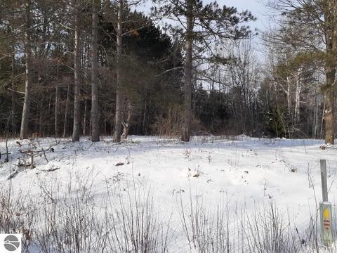 19150 Cinder Rd, Interlochen, MI 49643 photo 2