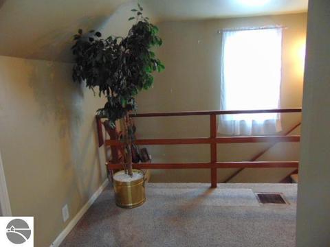 601 E Center St, Ithaca, MI 48847 photo 21