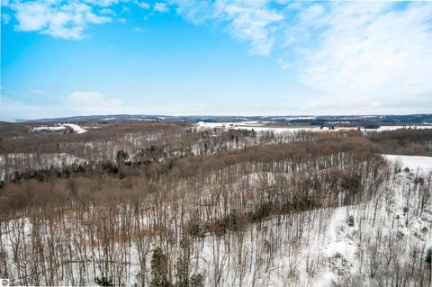 1641 E April Rd, Cedar, MI 49621 photo 28