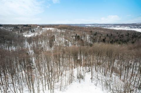 1641 E April Rd, Cedar, MI 49621 photo 17