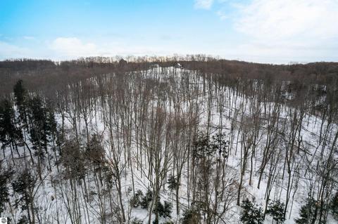 1641 E April Rd, Cedar, MI 49621 photo 25