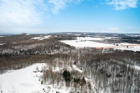 1641 E April Rd, Cedar, MI 49621 photo 16