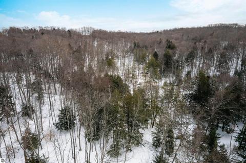 1641 E April Rd, Cedar, MI 49621 photo 23