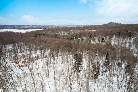 1641 E April Rd, Cedar, MI 49621 photo 48