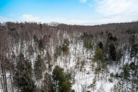 1641 E April Rd, Cedar, MI 49621 photo 24