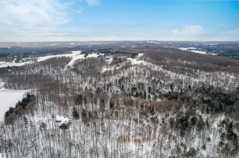 1641 E April Rd, Cedar, MI 49621 photo 9