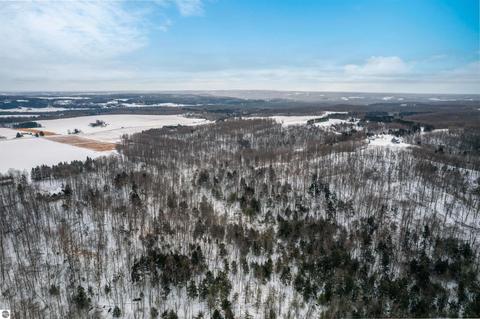 1641 E April Rd, Cedar, MI 49621 photo 10