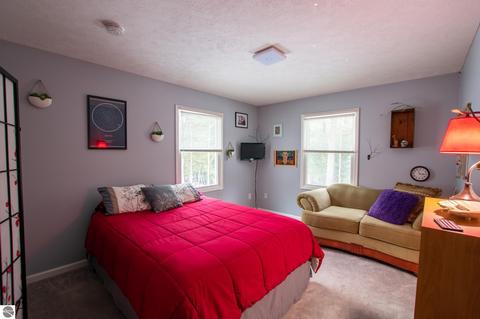 4737 Springbrook Dr, Williamsburg, MI 49690 photo 23