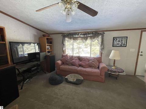 10396 E 12 Rd, Manton, MI 49663 photo 28
