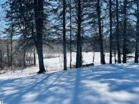 10396 E 12 Rd, Manton, MI 49663 photo 10