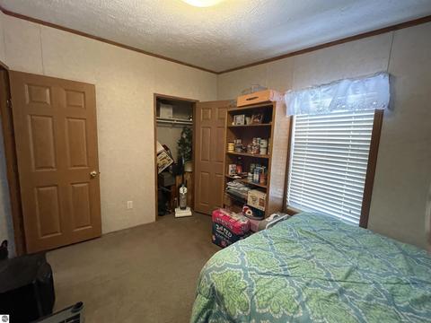 10396 E 12 Rd, Manton, MI 49663 photo 36