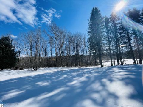 10396 E 12 Rd, Manton, MI 49663 photo 6