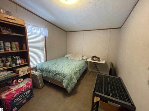 10396 E 12 Rd, Manton, MI 49663 photo 35