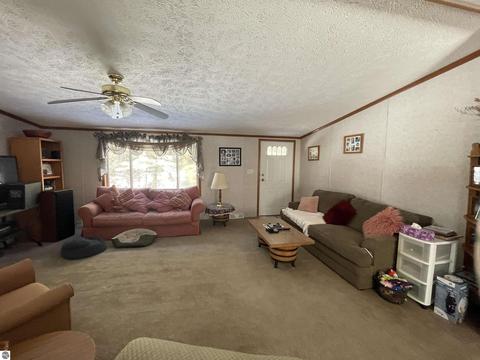 10396 E 12 Rd, Manton, MI 49663 photo 23
