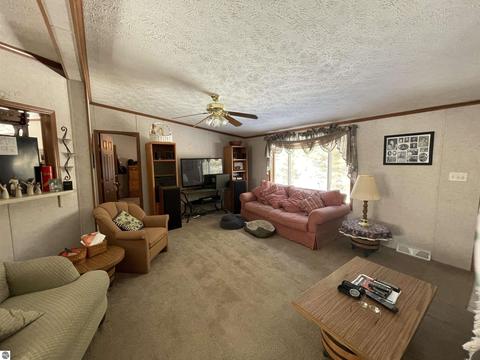 10396 E 12 Rd, Manton, MI 49663 photo 24