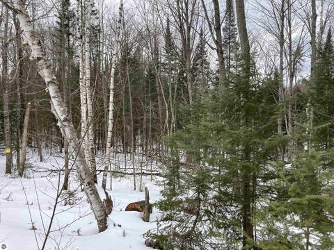 1155 Schemp Rd, Lupton, MI 48635 photo 3