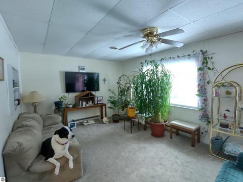 4207 Anne St, Au Gres, MI 48703 photo 7
