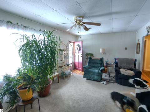 4207 Anne St, Au Gres, MI 48703 photo 8