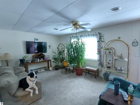 4207 Anne St, Au Gres, MI 48703 photo 5