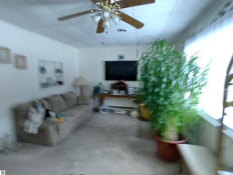 4207 Anne St, Au Gres, MI 48703 photo 6