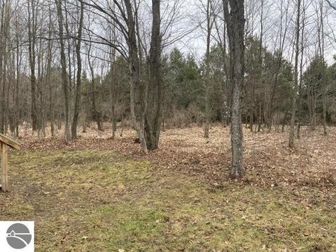 8221 Crest Ln, Mesick, MI 49668 photo 15