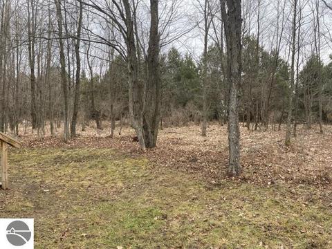 8221 Crest Ln, Mesick, MI 49668 photo 12