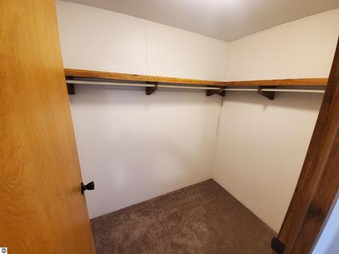1236 Tamarack Rd, Edmore, MI 48829 photo 28