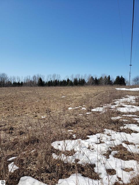 5546 E Hohnke Rd, Cedar, MI 49621 photo 1