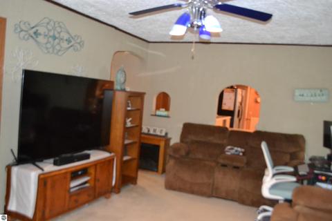 126 N Ithaca St, Ithaca, MI 48847 photo 10