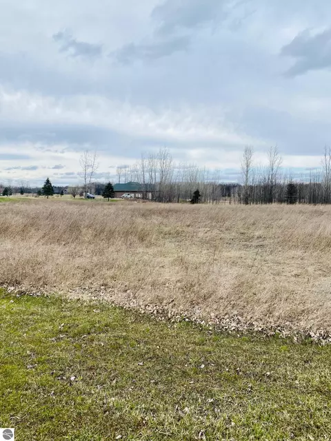 tbd Pickard Rd, Mount Pleasant, MI 48858