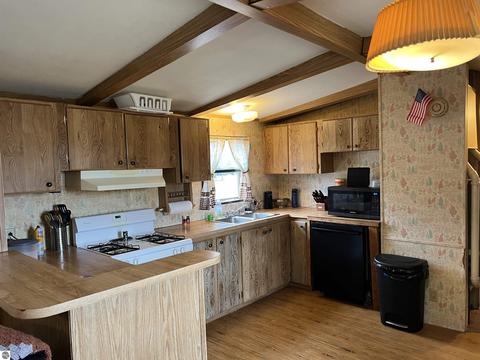 213 Pine St, Manton, MI 49663 photo 3