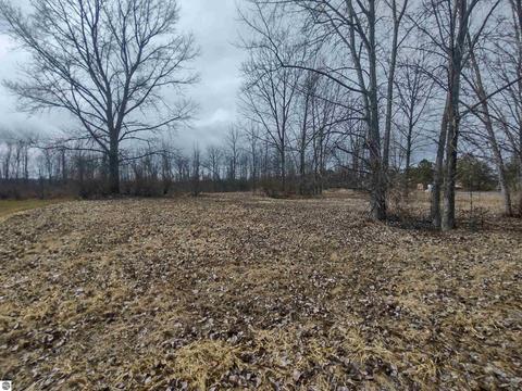 N/a Midshipman Drive, Au Gres, MI 48703 photo 6