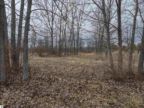 N/a Midshipman Drive, Au Gres, MI 48703 photo 2