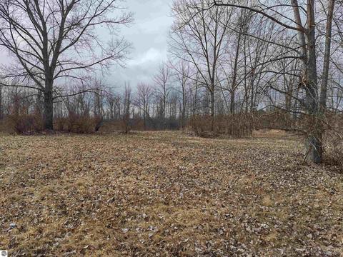 N/a Midshipman Drive, Au Gres, MI 48703 photo 5