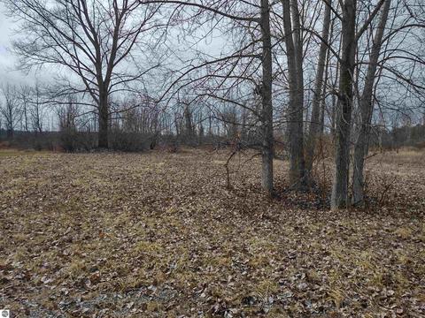 N/a Midshipman Drive, Au Gres, MI 48703