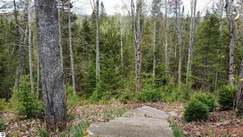 3836 Whitmarsh Rd, Vanderbilt, MI 49795 photo 65