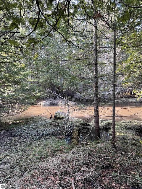 3836 Whitmarsh Rd, Vanderbilt, MI 49795 photo 67